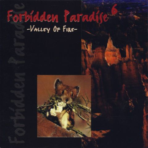 (image for) Tiesto - Forbidden Paradise 06